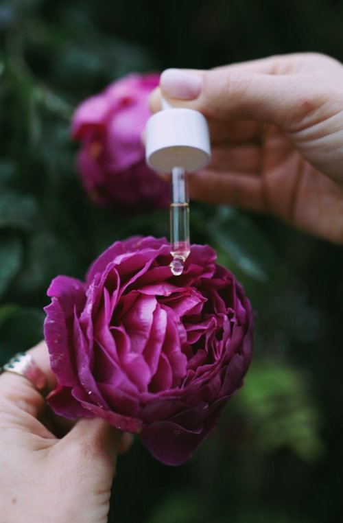 Wilde Urnatur Massage-Öl